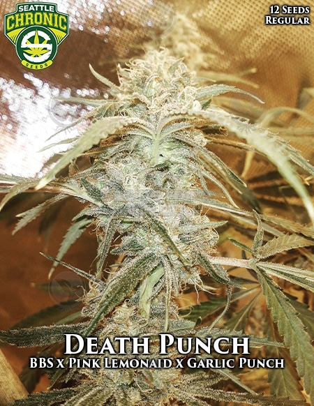 - Seattle Chronic Seeds - Death Punch {Reg} [12Pk]