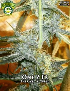 Seattle-chronic-seeds-one-z-f2