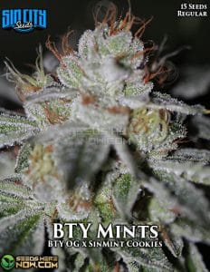 Bty mints (regular) - sin city seeds
