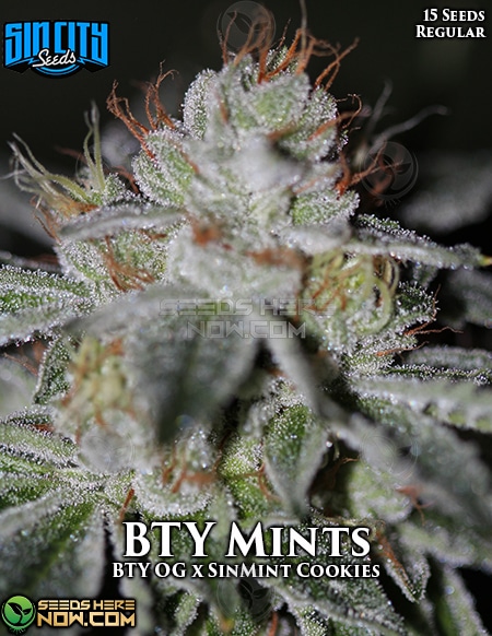 - Sin City Seeds - Bty Mints {Reg} [15]