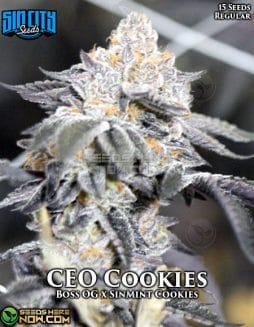 Sin City Seeds - CEO Cookies {REG} [15pk]