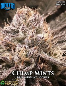 Chimp mints (regular) - sin city seeds