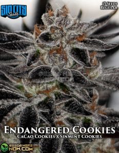 Endangered cookies (regular) - sin city seeds