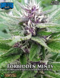 Forbidden Mints (Regular) - Sin City Seeds