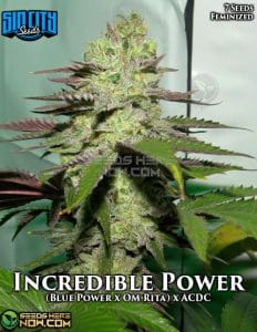 Incredible Power (Feminized) - Sin City Seeds