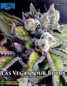 Las Vegas Sour Bubba (regular) - Sin City Seeds