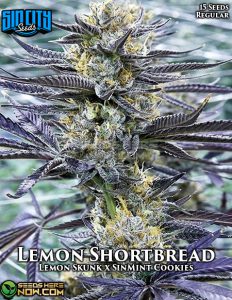Lemon Shortbread (Regular) - Sin City Seeds