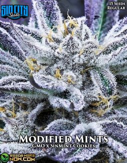 Sin City Seeds - Modified Mints {REG} [15pk]