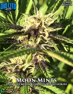 Sin City Seeds - Moon Mints {REG} [15pk]
