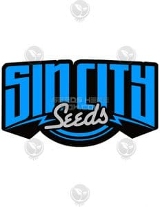 Sin City Seeds - White Chocolate Raz {REG} [15pk]Sin City Seeds Ph