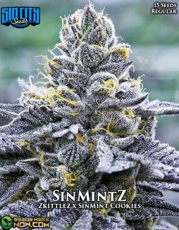 Sin City Seeds - SinMintZ {REG} [15pk]