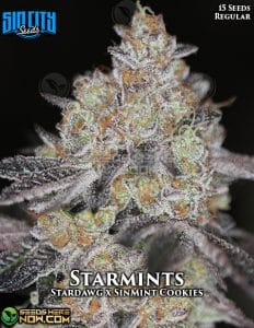 Starmints (regular) - sin city seeds