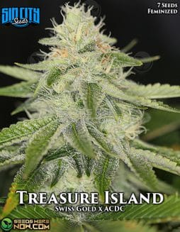 Sin City Seeds - Treasure Island {FEM} [7pk]