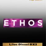 Lilac Diesel BX3 Multipack - (Regular) - Ethos Genetics