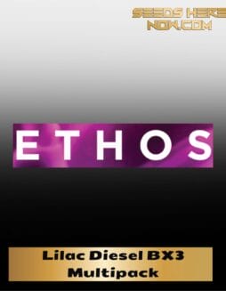 Lilac Diesel BX3 Multipack (space) (Regular) (space) Ethos Genetics