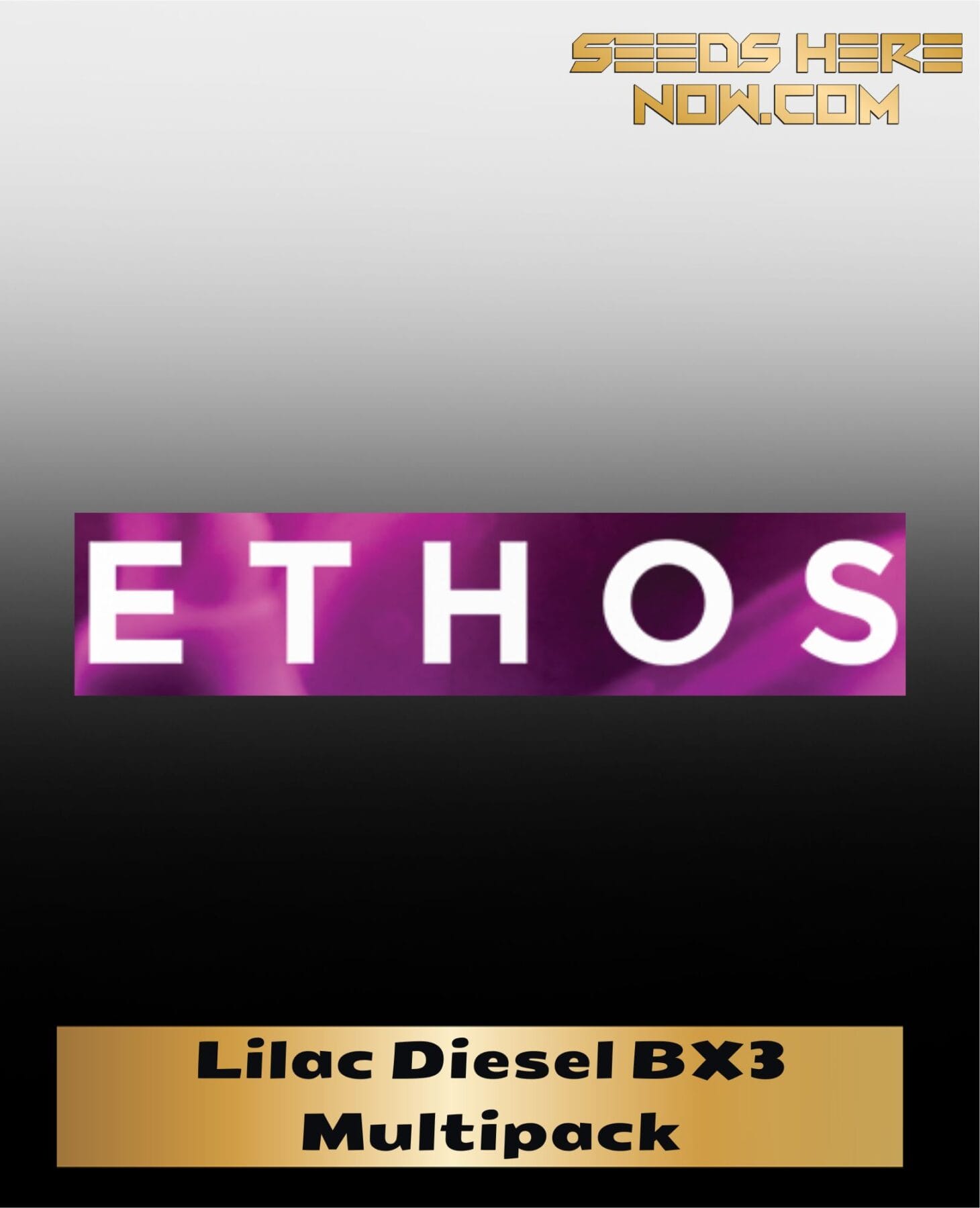 Lilac Diesel BX3 Multipack - (Regular) - Ethos Genetics