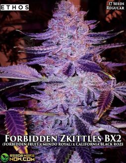 Ethos Genetics - Forbidden Zkittlez BX2 {REG} [17pk]ethos-genetics-forbidden-zkittles-bx2