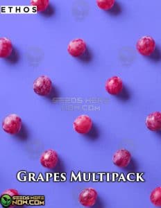 Grapes Multipack - Ethos Genetics
