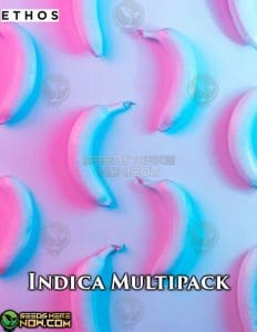 Indica Multipack (Regular) - Ethos Genetics