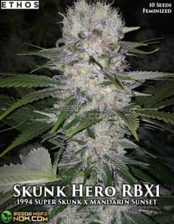 Ethos Genetics - Skunk Hero RBX1 {FEM}Rethos-genetics-skunk-hero-rbx1