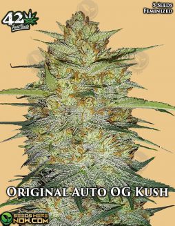 Fast Buds - Original OG Kush Auto {AUTOFEM} [5pk]Original OG Kush Auto