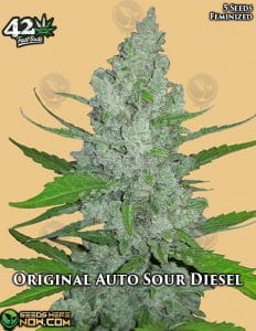Original Auto Sour Diesel (autoflower) - Fast Buds