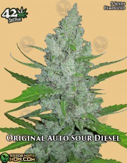 Fast Buds - Original Auto Sour Diesel {AUTOFEM} [5pk]Original Auto Sour Diesel