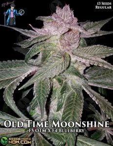 Old Time Moonshine (Regular) (space) DJ Short Seeds