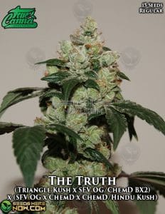 The Truth (Regular) - True Canna Genetics