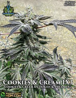 Exotic Genetix - Cookies & Cream IX3 {REG} [10pk]