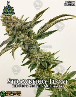 Exotic Genetix - Strawberry Float {REG} [10pk]exotic-genetix-strawberry-float