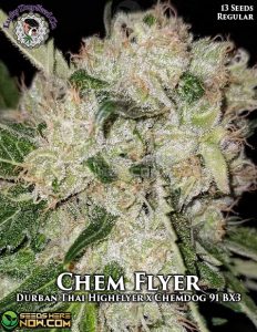 Chem Flyer (Regular) - Lucky Dog Seed Company