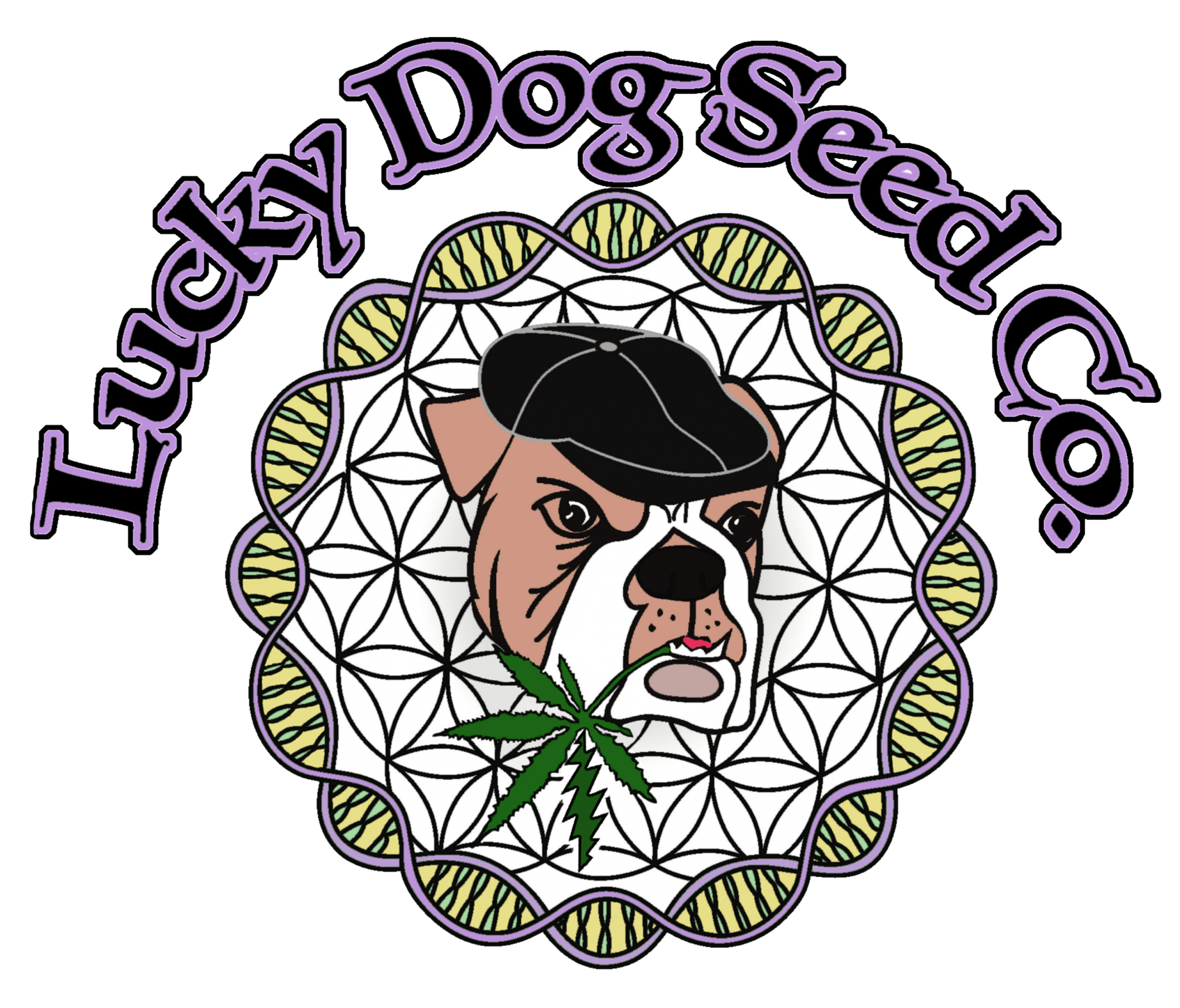 lucky(space)dog(space)transparency