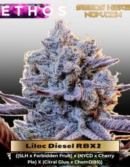 Lilac Diesel RBX2 (Feminized) (space) Ethos Genetics