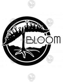 Bloom Seed Co. - Black Maple {REG} [12pk]Bloom Seed Co