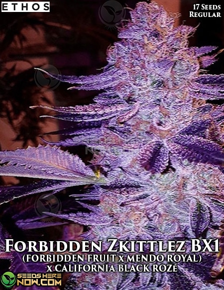 Forbidden Zkittlez Bx1