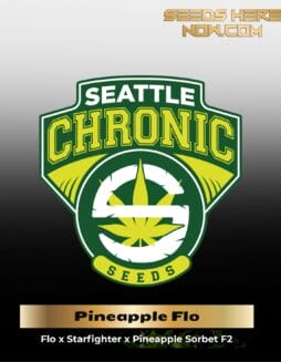 Pineapple Flo(space)Fighter (Regular) (space) Seattle Chronic Seeds