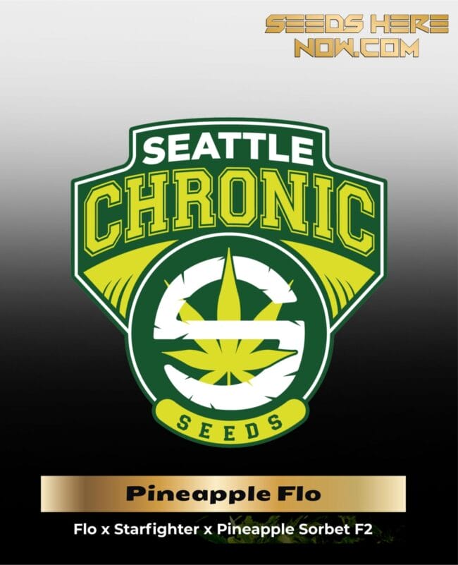Pineapple Flo-Fighter (Regular) - Seattle Chronic Seeds