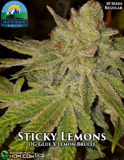 Covert Genetics - Sticky Lemons {REG} [10pk]