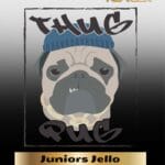 Juniors Jello (Regular) - Thug Pug Genetics