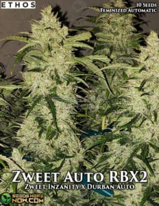 Zweet Auto Rbx2 (autoflower) - Ethos Genetics
