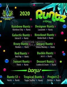 Runtz Player Box  - Exotic Genetix
