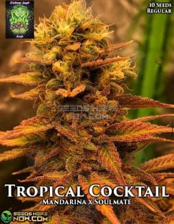 Trichome Jungle - Tropical Cocktail {REG} [10pk]trichome-jungle-tropical-cocktail