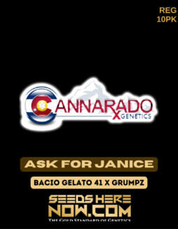 Cannarado Genetics - Ask for Janice {REG} [10pk]Cannarado Ask for Janice