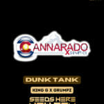 Dunk Tank (Regular) - Cannarado Genetics