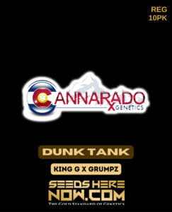 Dunk Tank (Regular) - Cannarado Genetics
