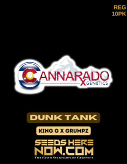 Cannarado Genetics - Dunk Tank {REG} [10pk]Cannarado Dunk Tank