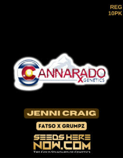 Cannarado Genetics - Jenni Craig {REG} [10pk]Cannarado Jenni Craig