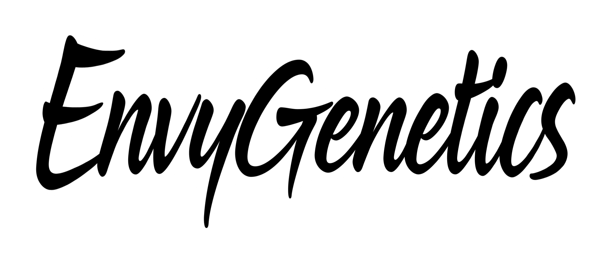 envy-logo-transparency