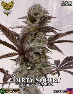 Solfire Gardens - Dirty Squirt RETIRED {REG} [12pk]